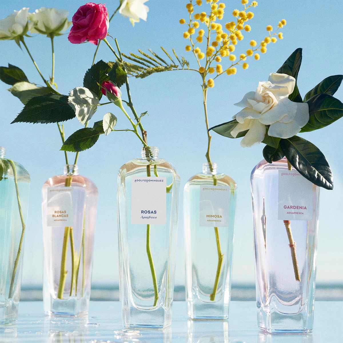 Set para Mujer Adolfo Dominguez Agua Fresca Rosas Blancas Perfume EDT 120ml + Body Lotion 75ml