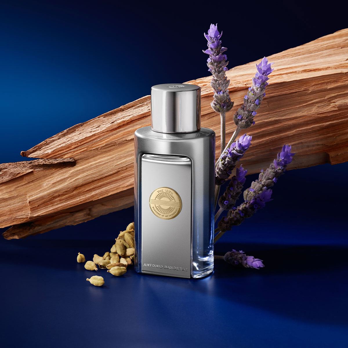 Set para Hombre Antonio Banderas The Icon Elixir EDP 100ml + Desodorante 150ml