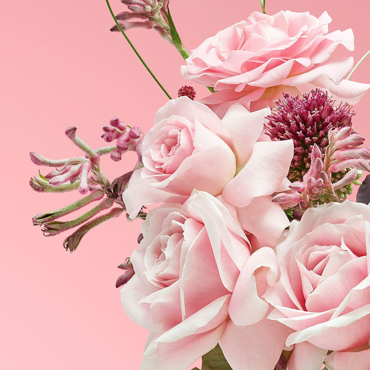 Victorio & Lucchino Agua Nº2 Rosa Fresca EDT 150ML Perfume Para Dama