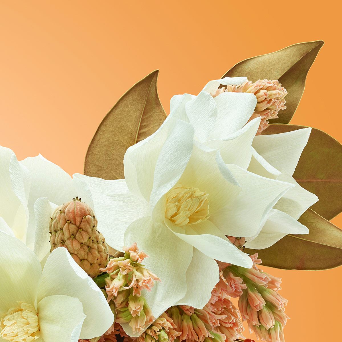 Victorio & Lucchino Agua Nº6 Magnolia Sensual EDT 150ML Perfume Para Dama