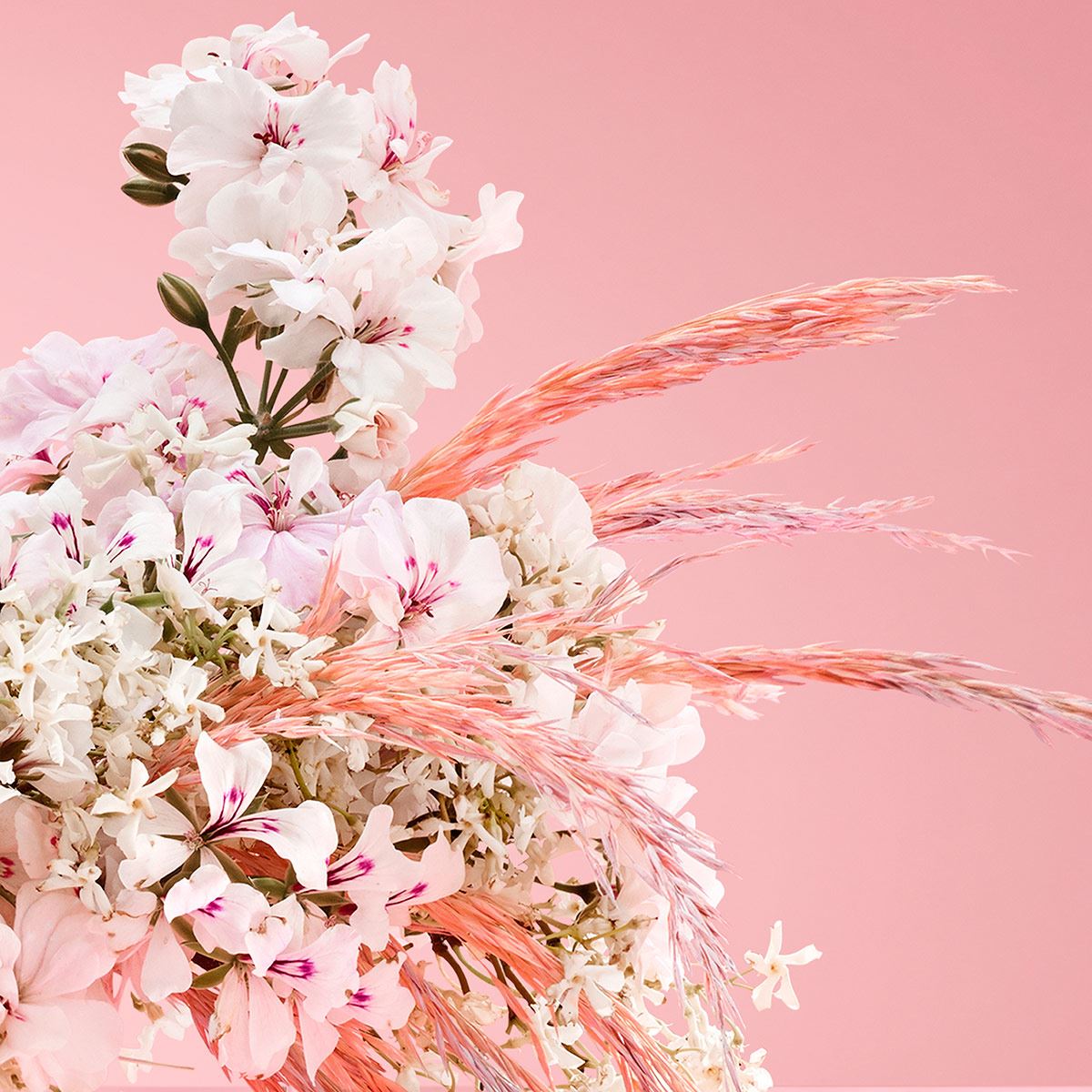 Victorio & Lucchino Agua Nº5 Jazmín Exótico EDT 150ML Perfume Para Dama