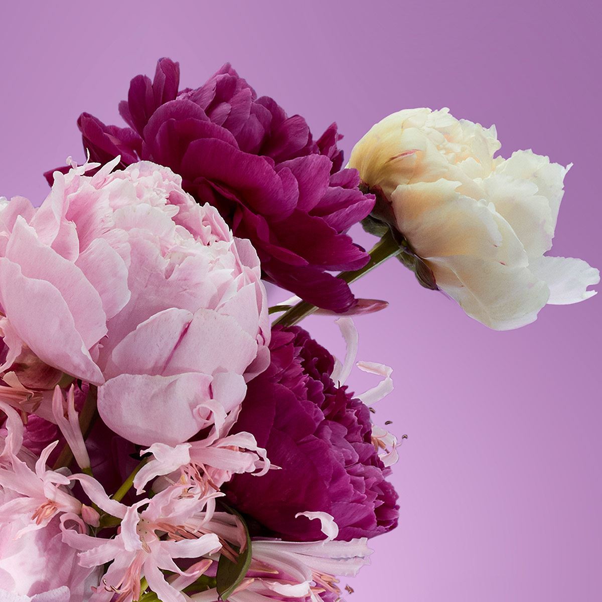 Victorio & Lucchino Agua Nº4 Peonia Imperial EDT 150ML Perfume Para Dama