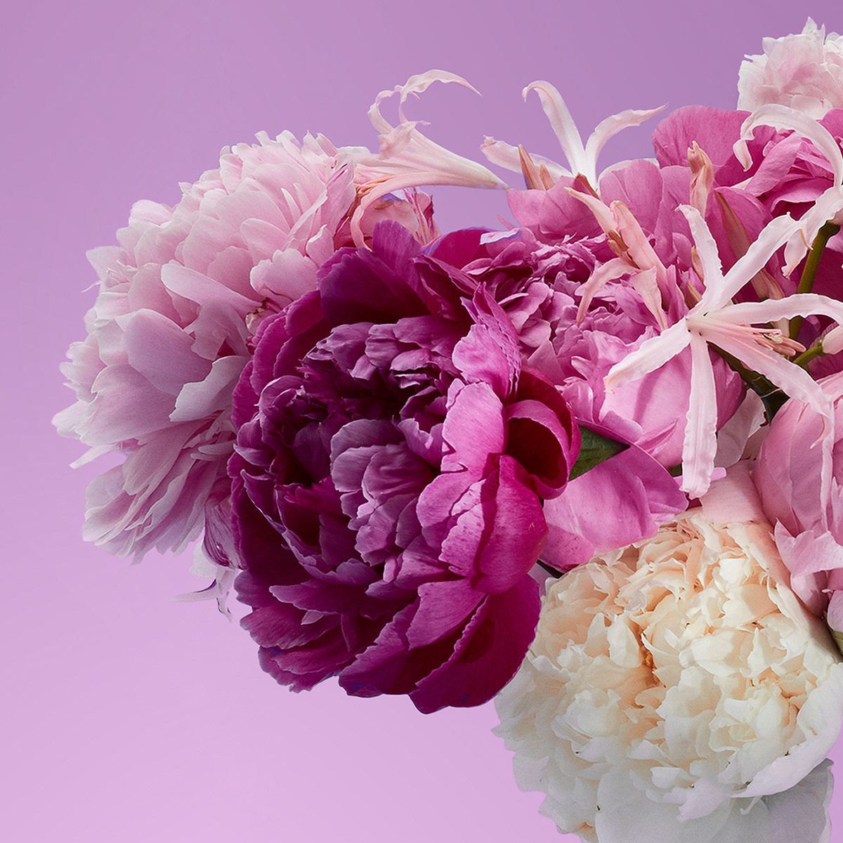 Victorio & Lucchino Agua Nº4 Peonia Imperial EDT 150ML Perfume Para Dama