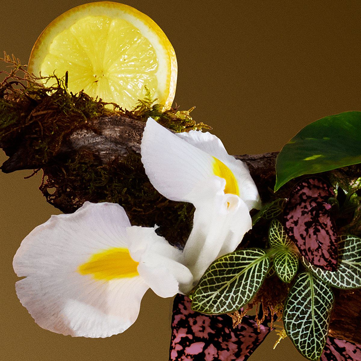 Victorio & Lucchino Agua Nº3 Seducción Magnética EDT 150ML Perfume Para Caballero