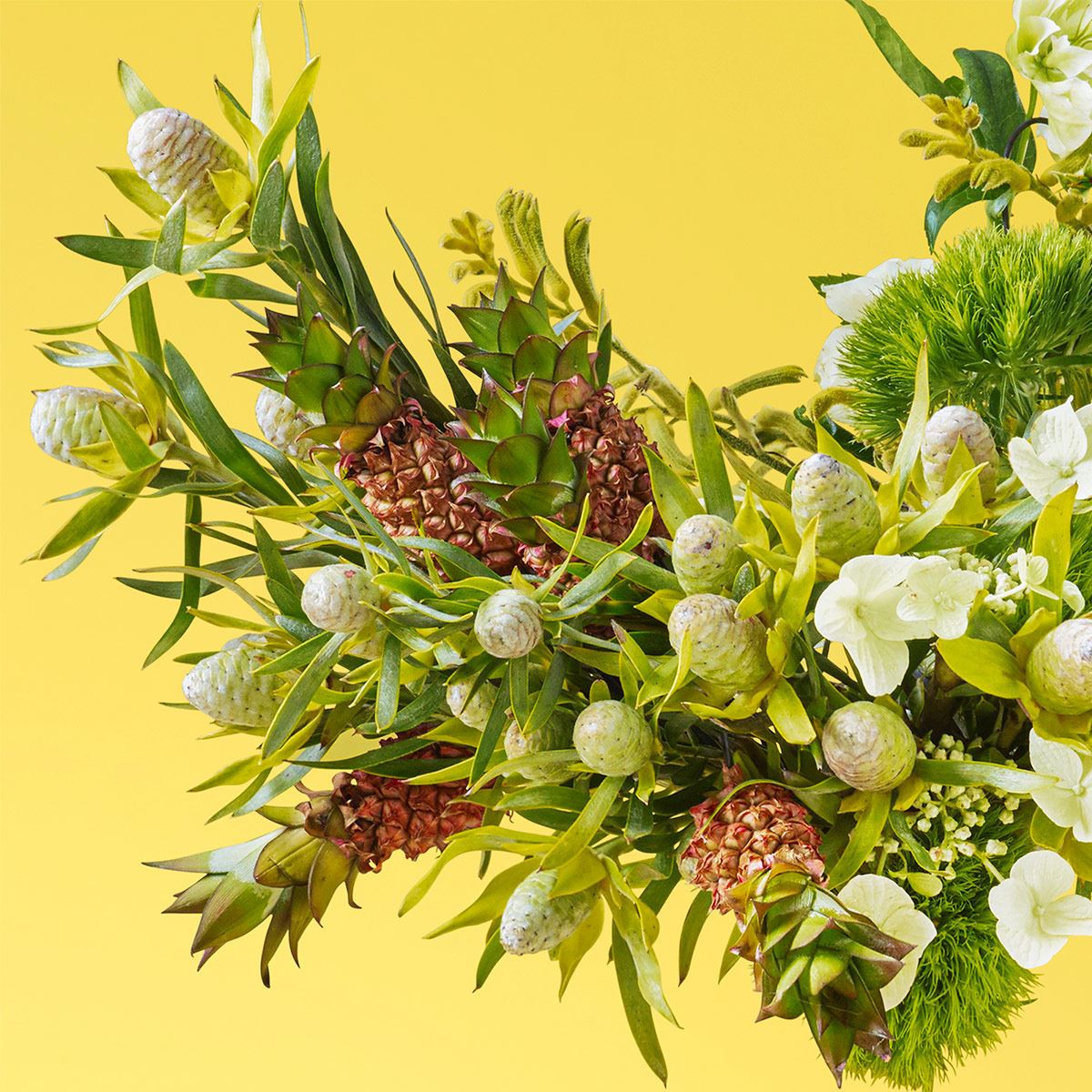 Victorio & Lucchino Agua Frutal Nº 9 Pasión Tropical EDT 150ML Perfume Para Dama