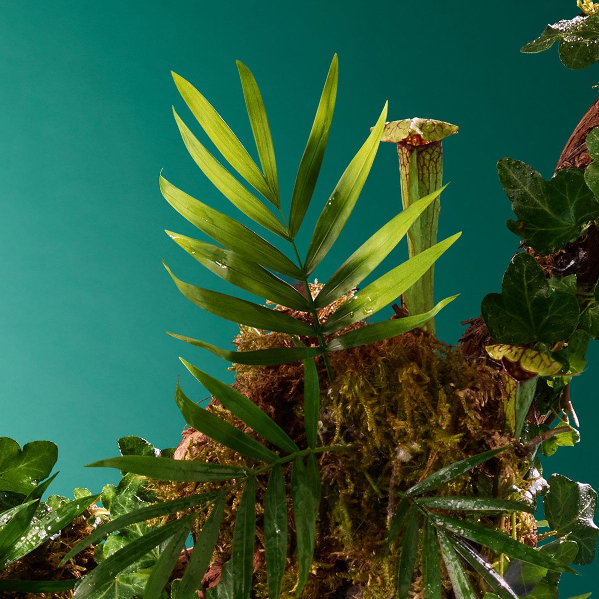 Victorio & Lucchino Agua Nº4 Evasión Exótica EDT 150ML Perfume Para Caballero