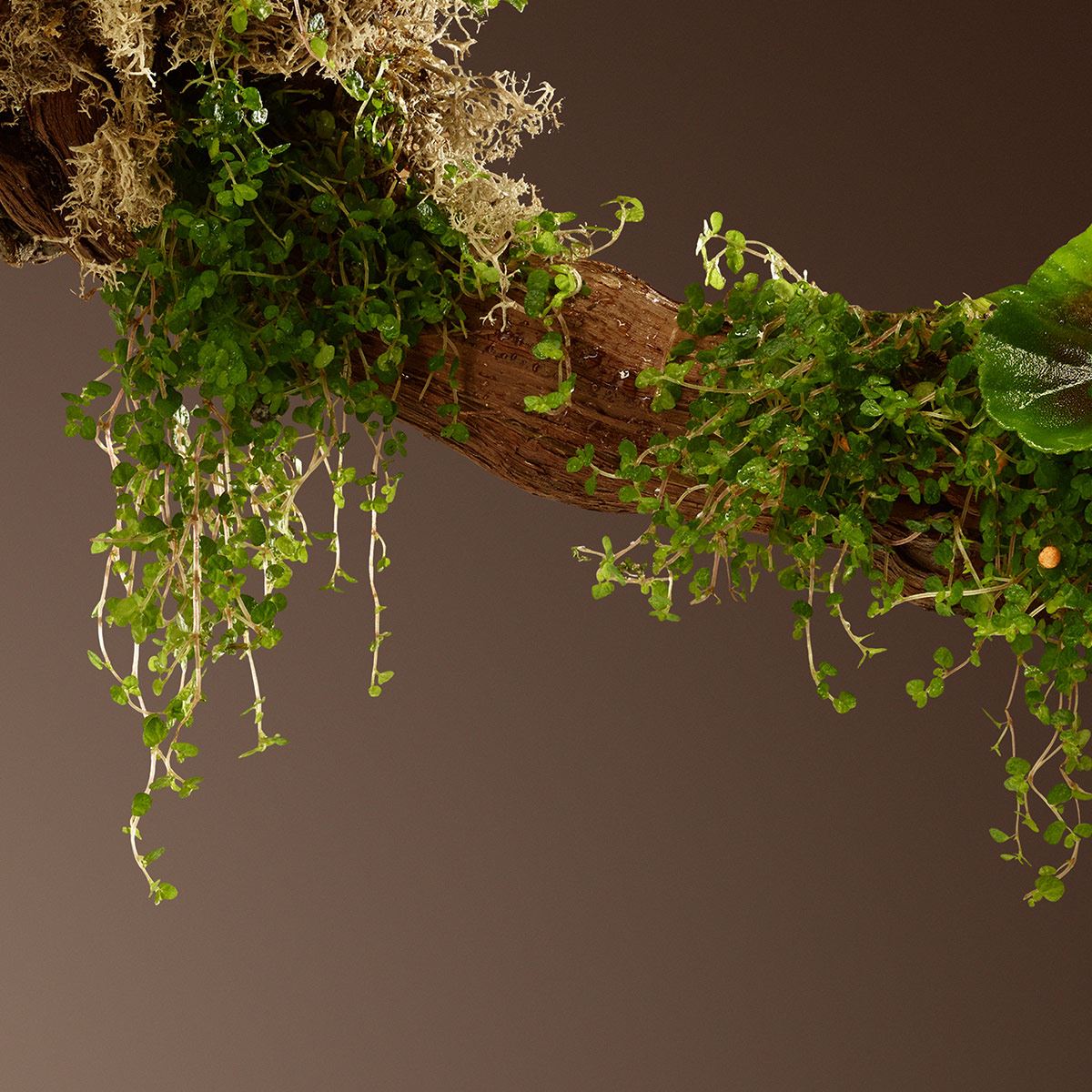 Victorio & Lucchino Aguas Masculinas Nº 6 Elegancia Natural Edt 150 ML Perfume Para Caballero