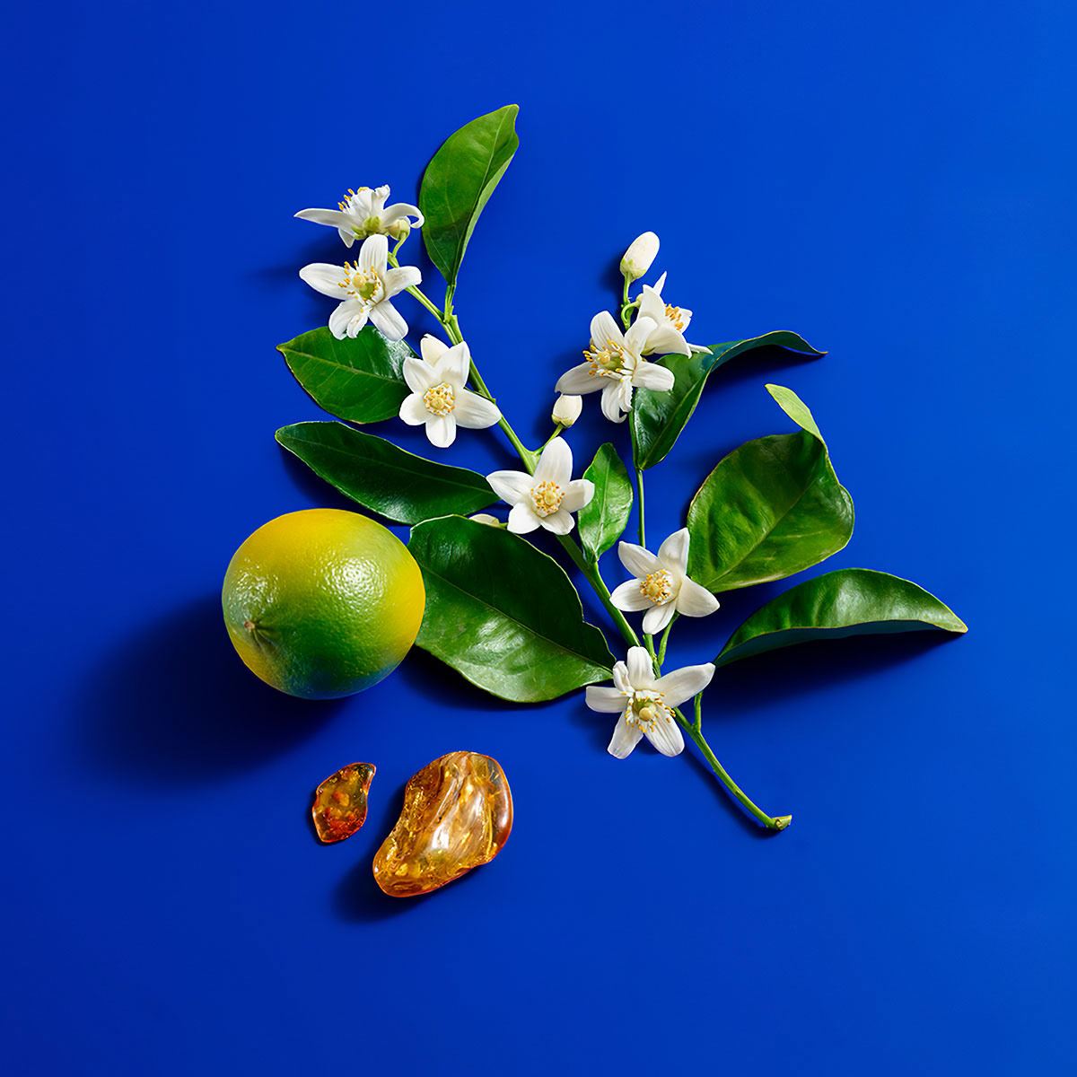 Set para Mujer Benetton Sisterland Blue Neroli Perfume EDT 80ml + Body Lotion 75ml