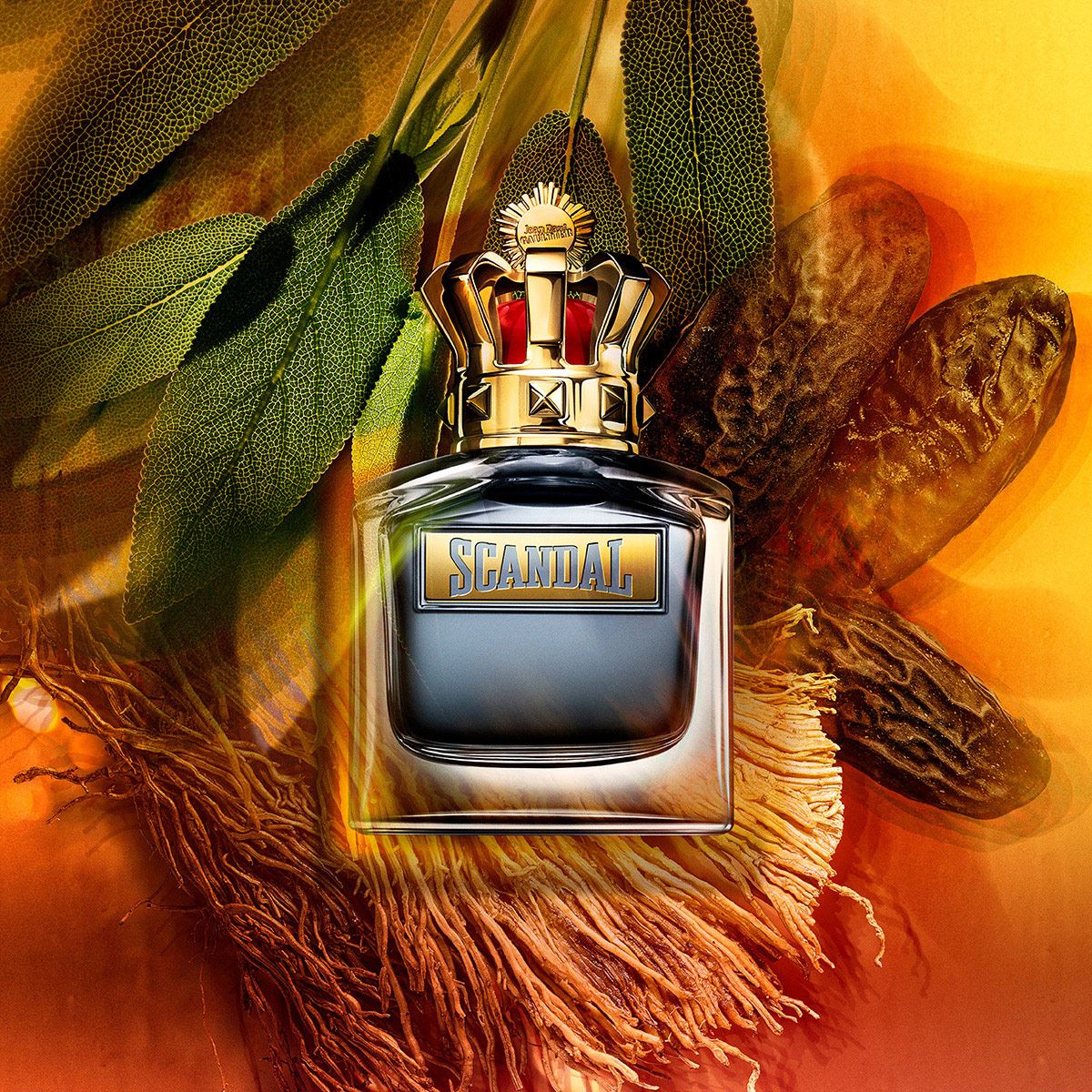 Perfumes de hombre online americanos