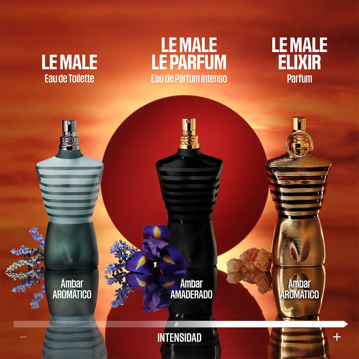 Perfume para Hombre Jean Paul Gaultier Le Male Elixir Parfum 200ml