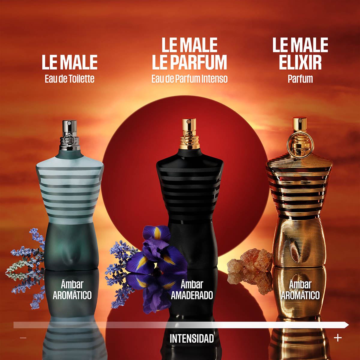 Set para Hombre Jean Paul Gaultier Le Male Le Parfum