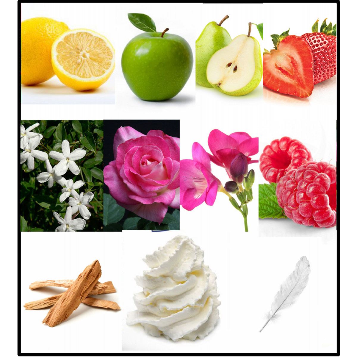 Perfume para Mujer Fila Fresh Eau de Parfum 100ml