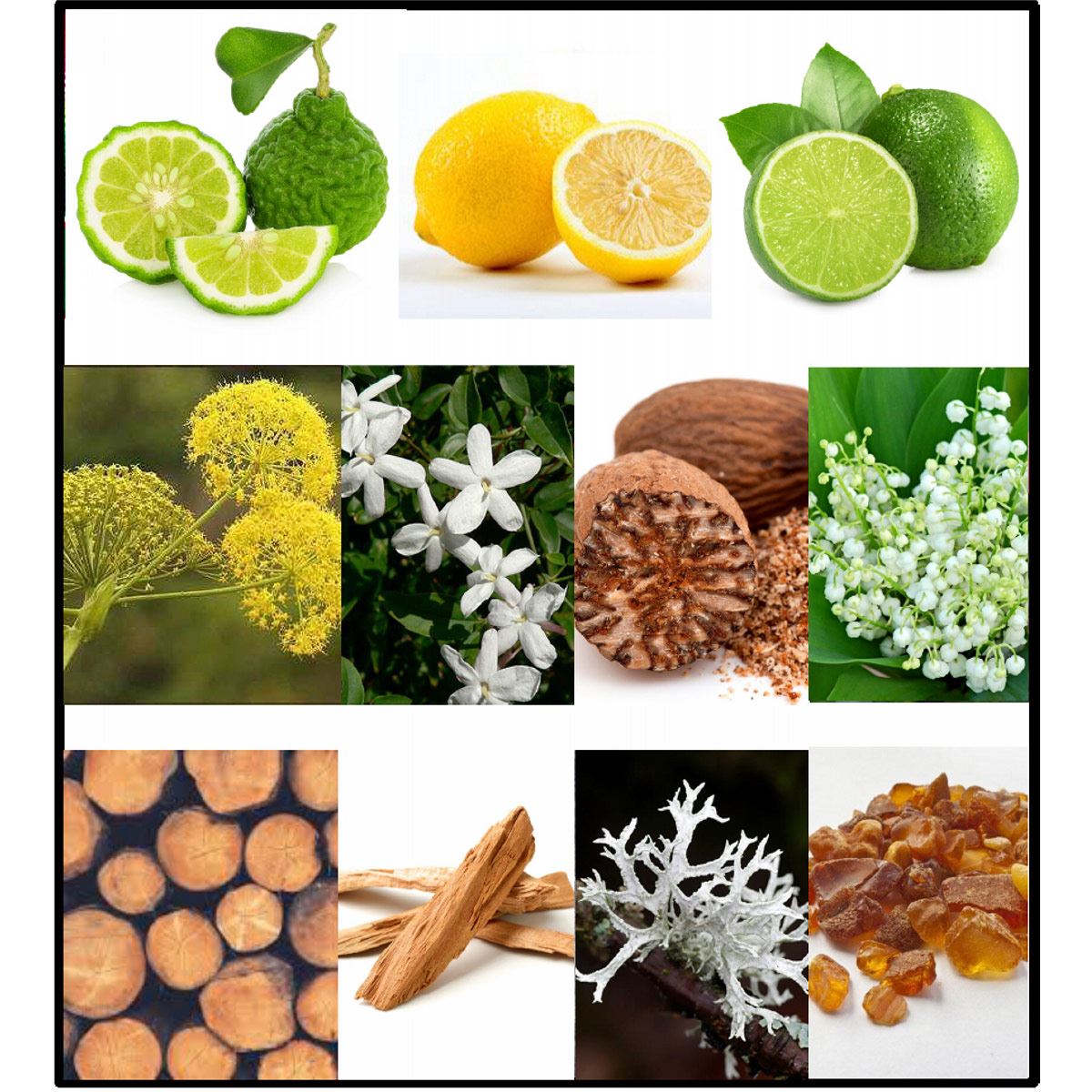 FILA RED Eau de Toilette 3.4 oz