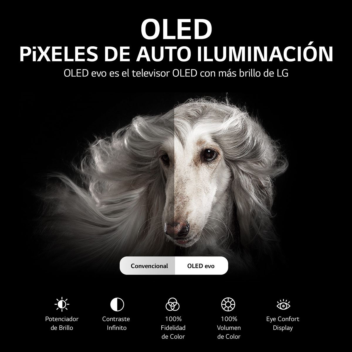 Pantalla LG OLED TV Evo Gallery Edition  77 Pulgadas 4K SMART TV