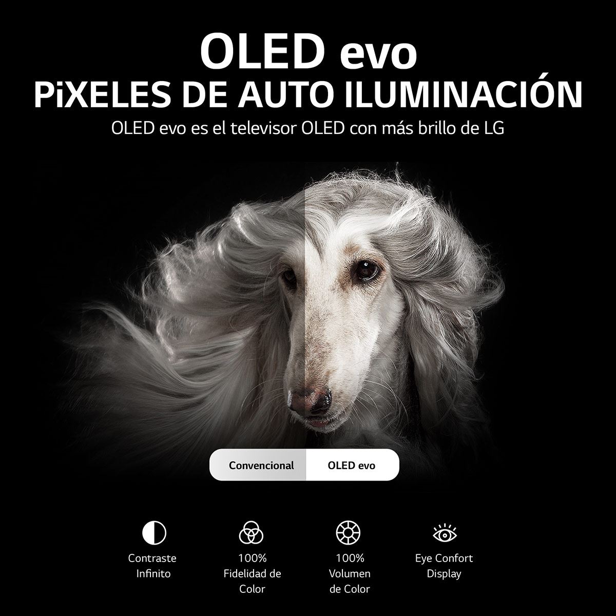 Pantalla LG OLED TV Evo 48 Pulgadas 4K SMART TV con ThinQ AI