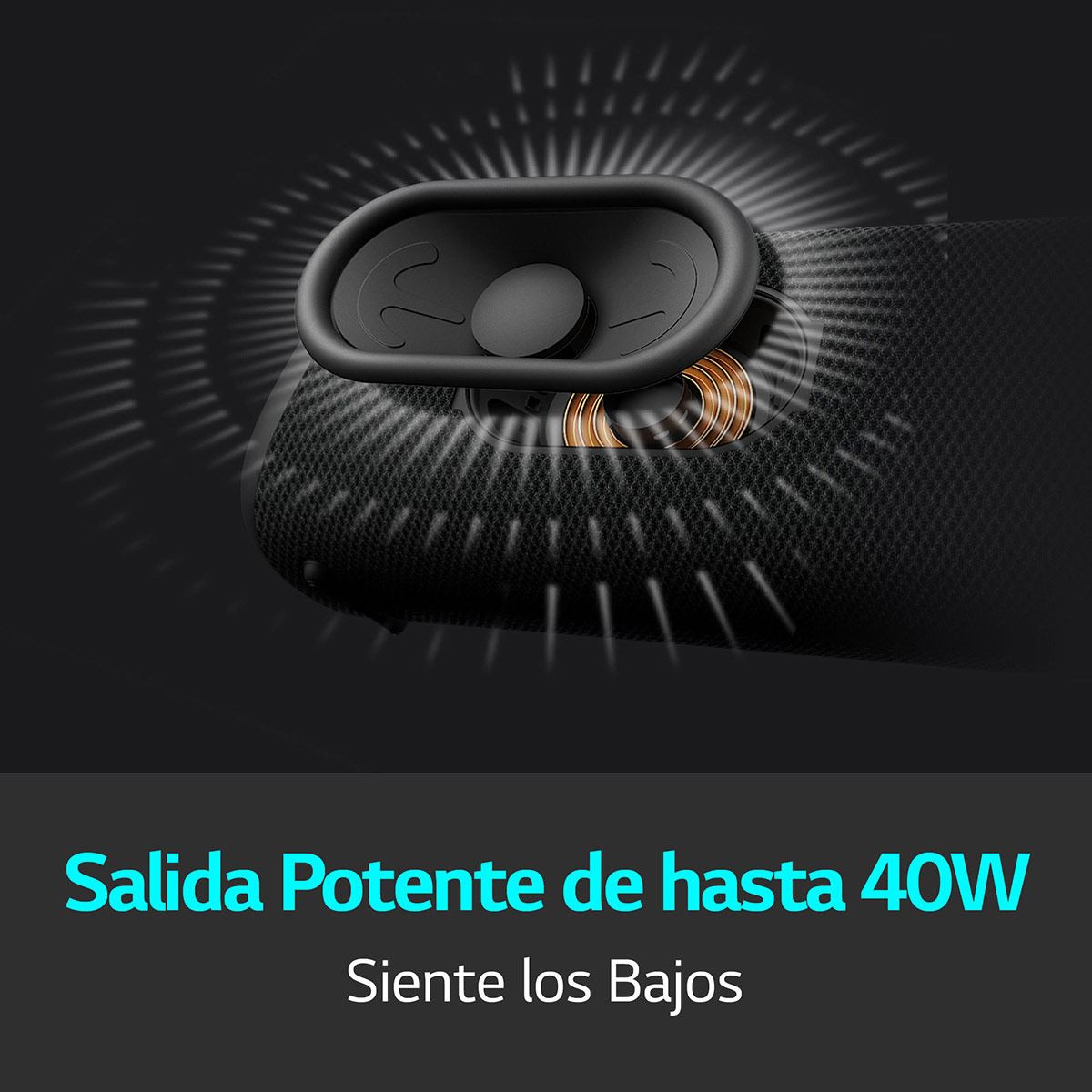 Bocina LG XBOOM Go XG7 negra