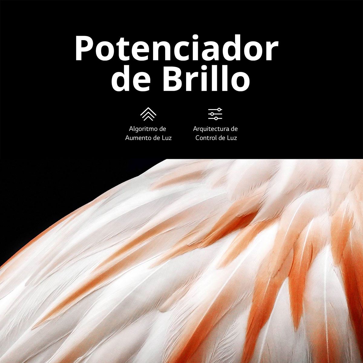 Pantalla LG 83 pulgadas Oled 83C3PSA 4K