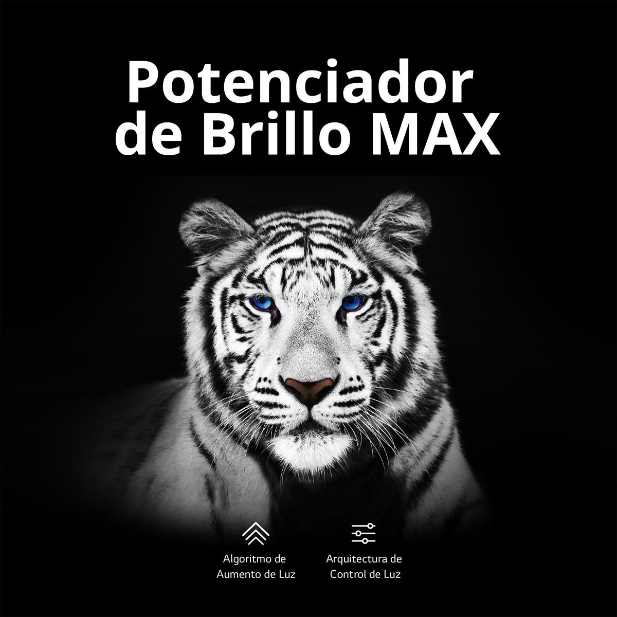 Pantalla LG 55 pulgadas 4K OLED 55G3PSA