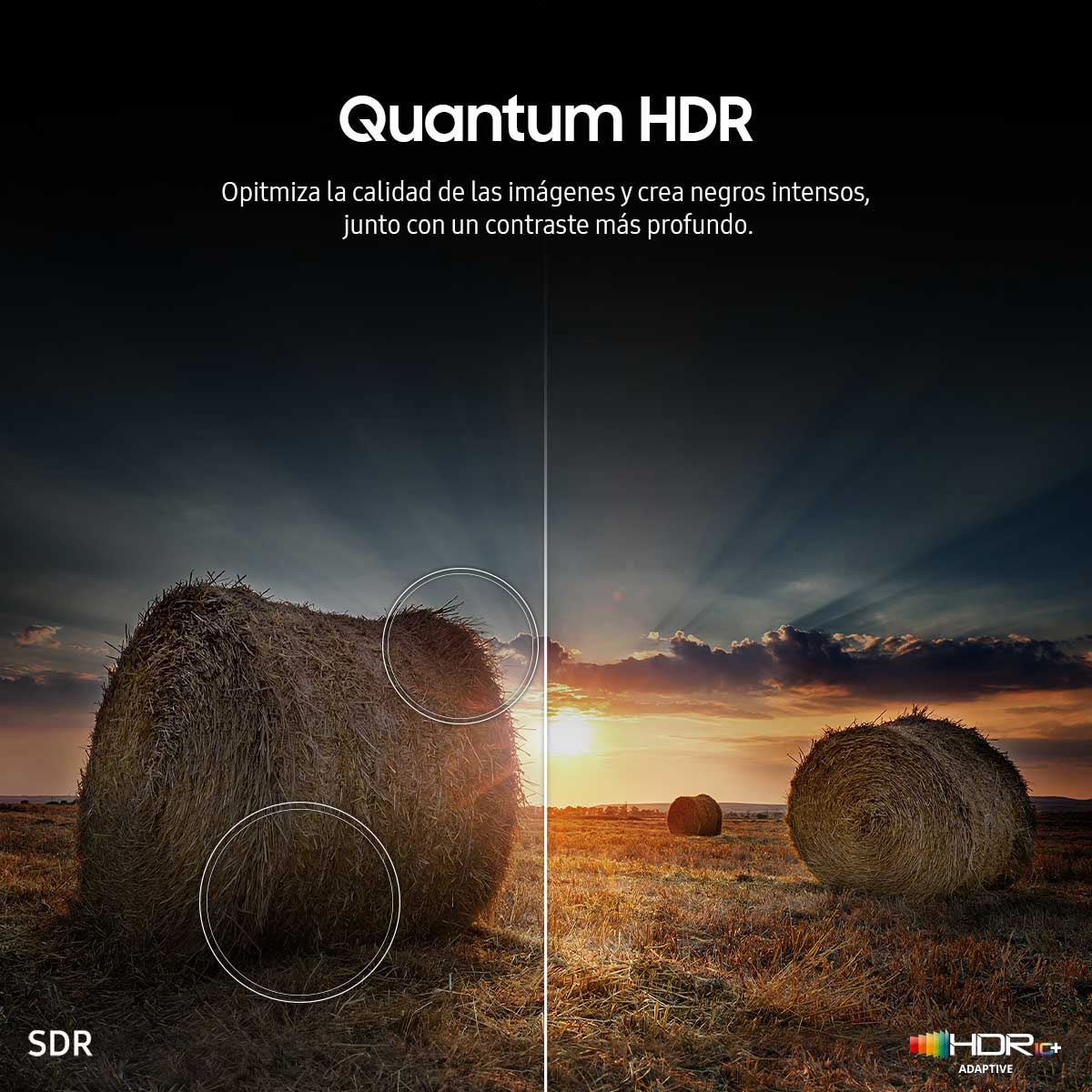 Pantalla Samsung 65 pulgadas QLED QN65Q65CAF