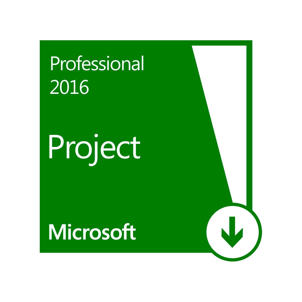 Esd Project Professional 2016