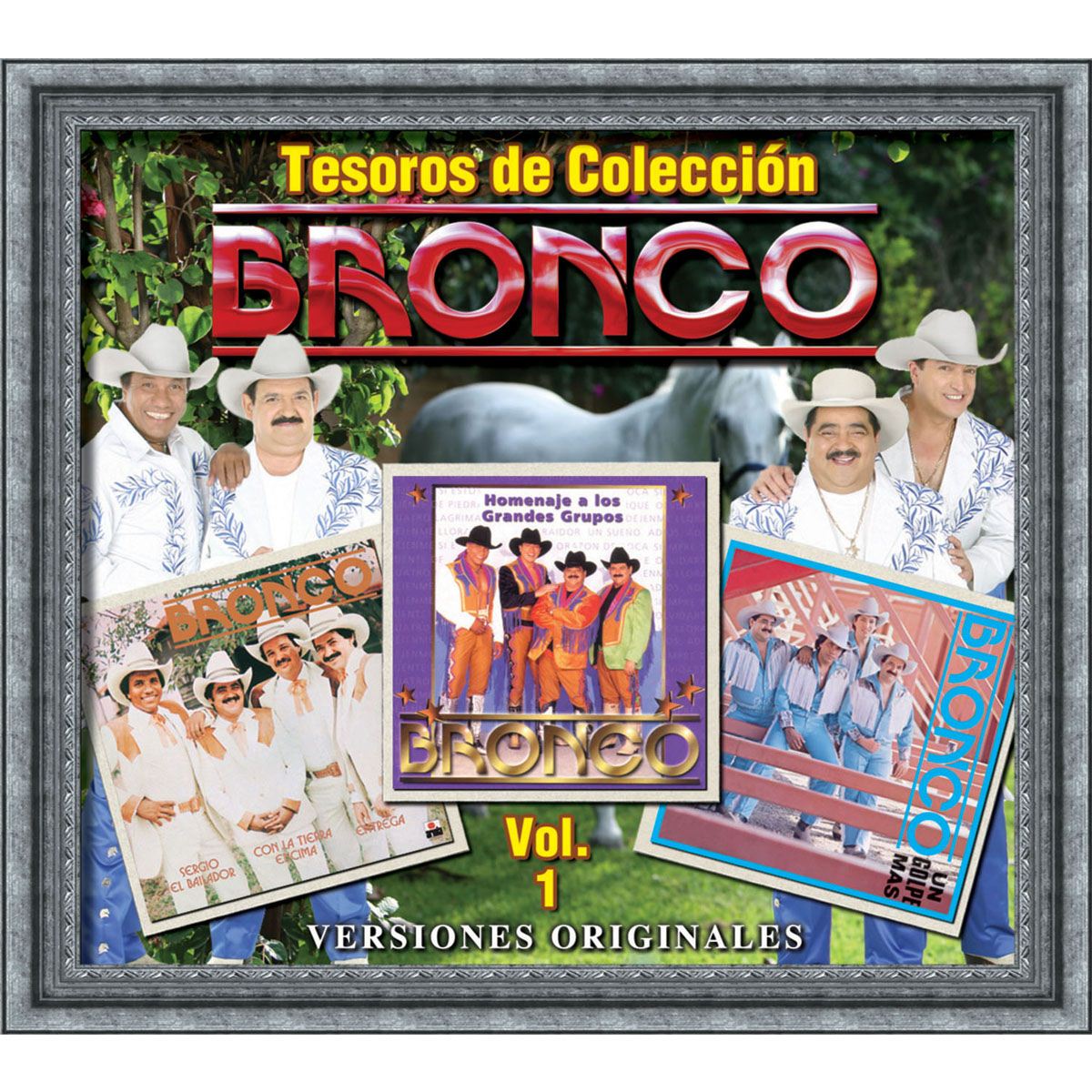 Tesoros De Colección Vol. 1 Versiones Originales