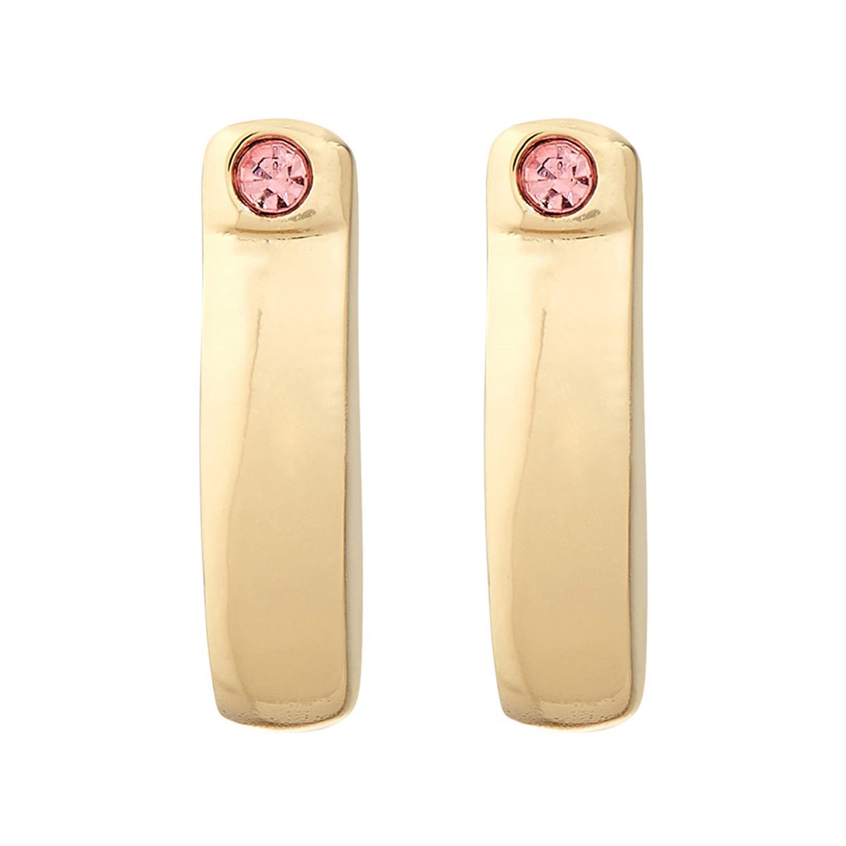 Aretes Dorado Coach De Silueta Arracadas