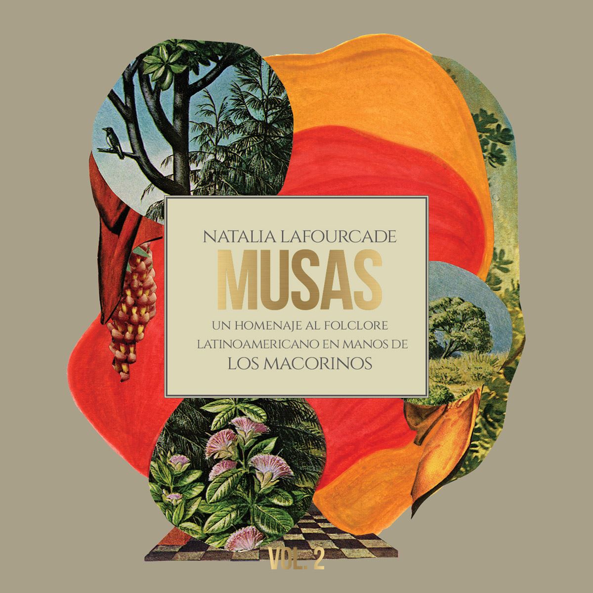 Cd Musas (Un Homenaje Al Folclore Latinoamericano En Manos De Los Macorinos),vol. 2