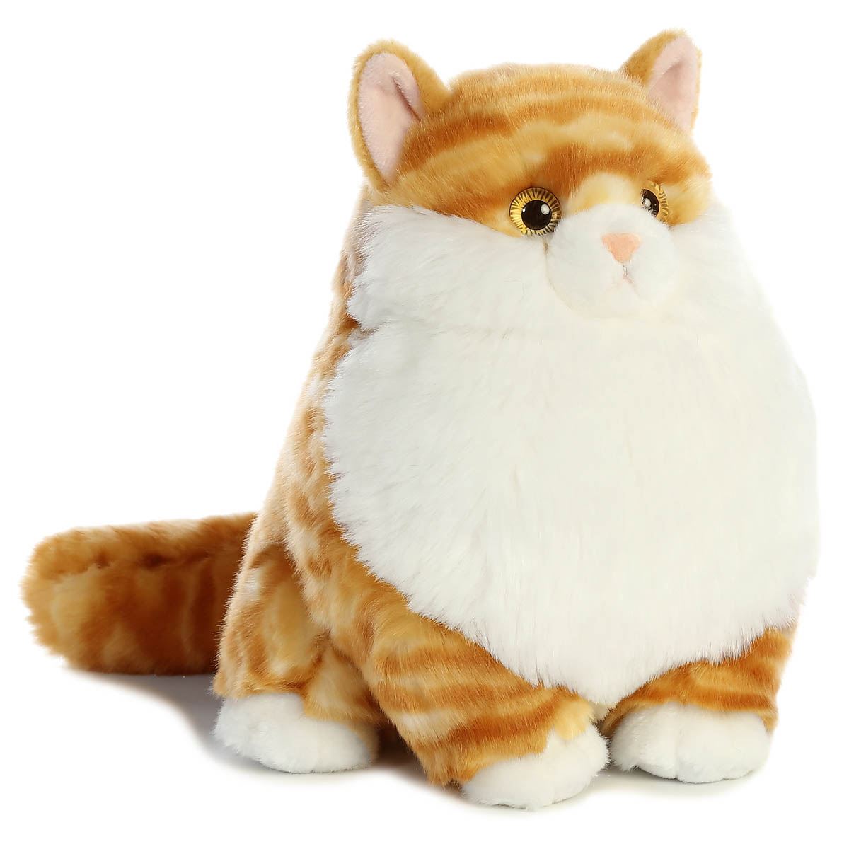 Gato Gordo Tabby