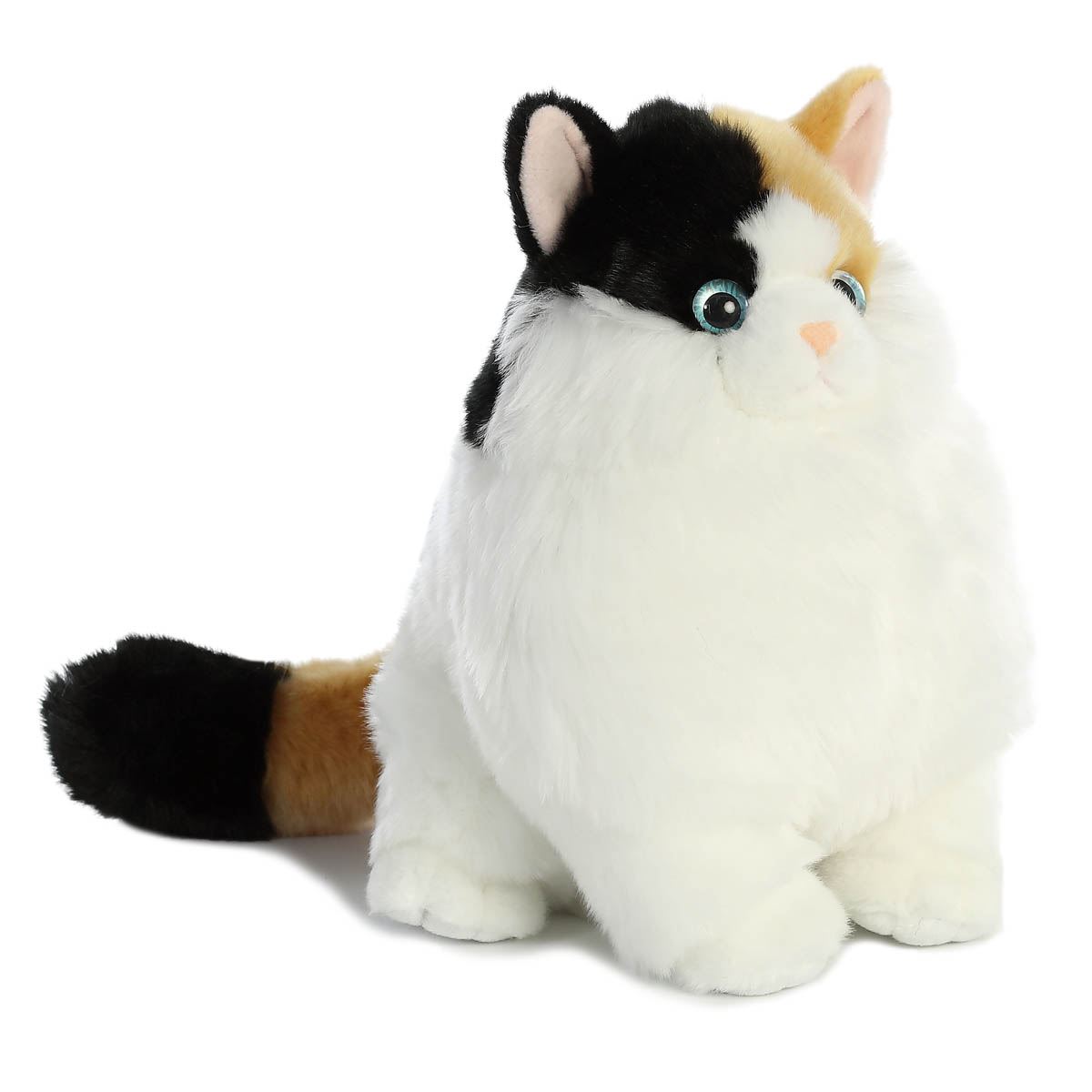 Gato Gordo Calico