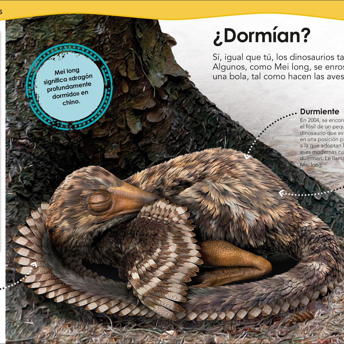 ¿Sabías qué? Dinosaurios