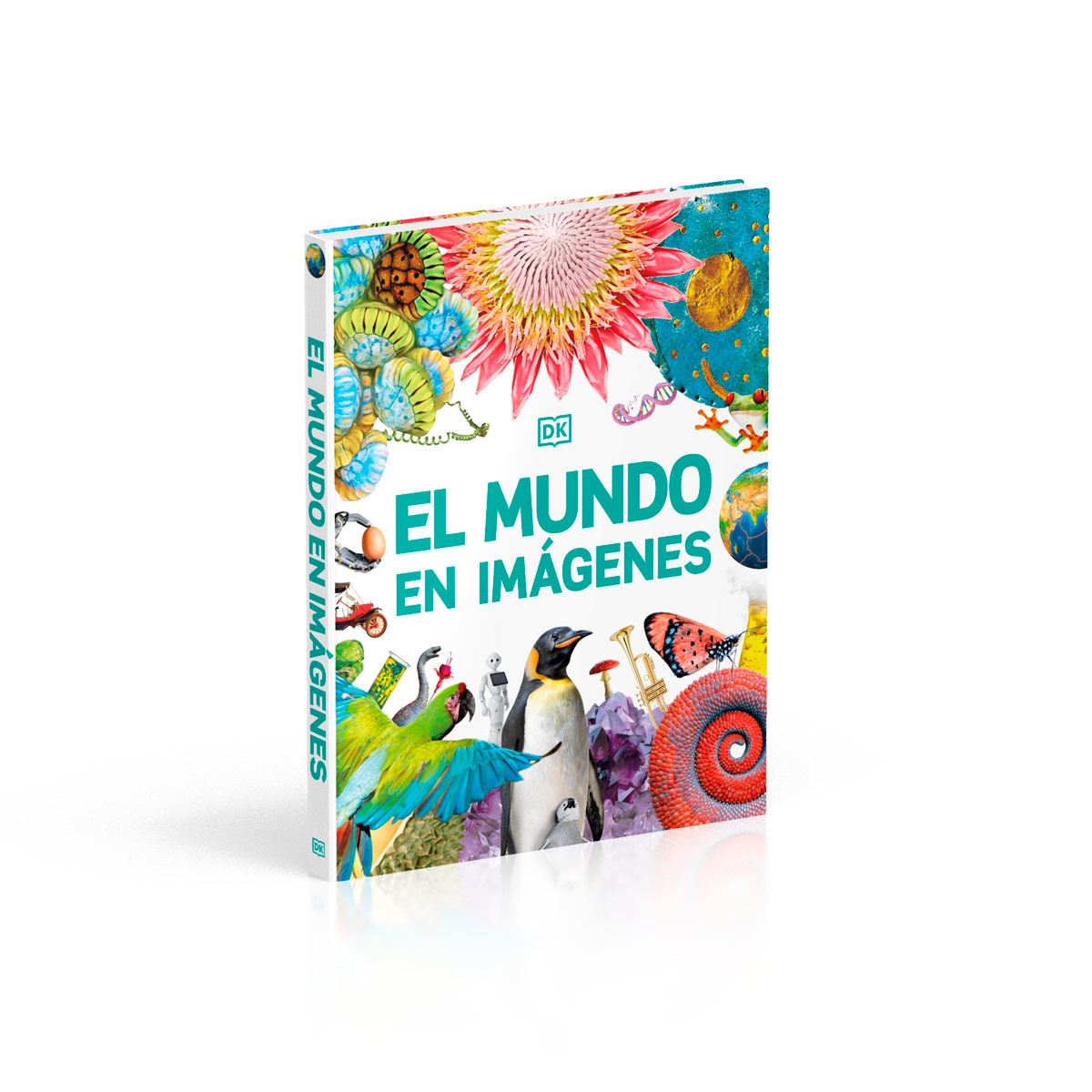 El mundo en imágenes