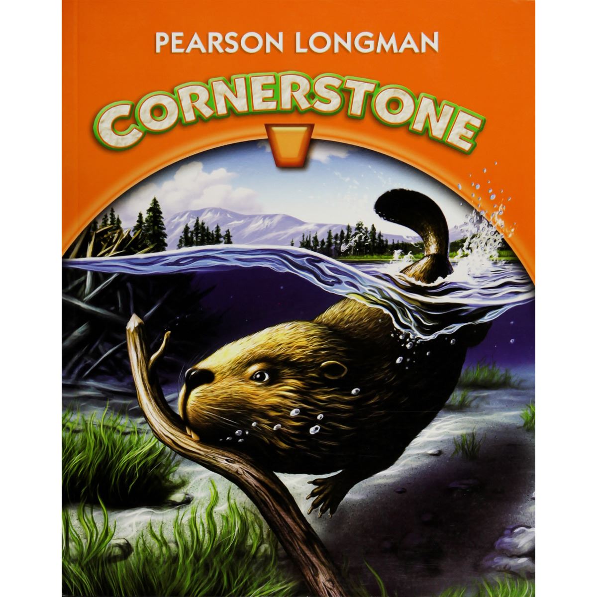 Cornerstone 4 Sb International (Softcover) 2013