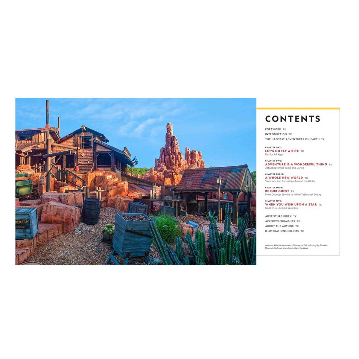 100 Disney Adventures of a Lifetime