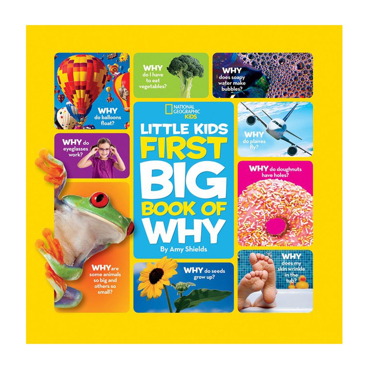 National Geographic Little Kids First Big Book Of Why
