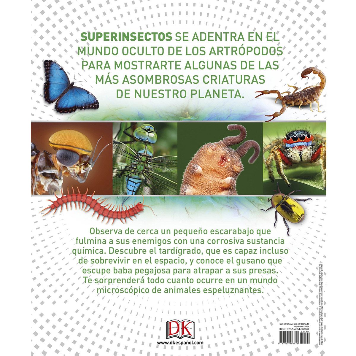 Super Insectos