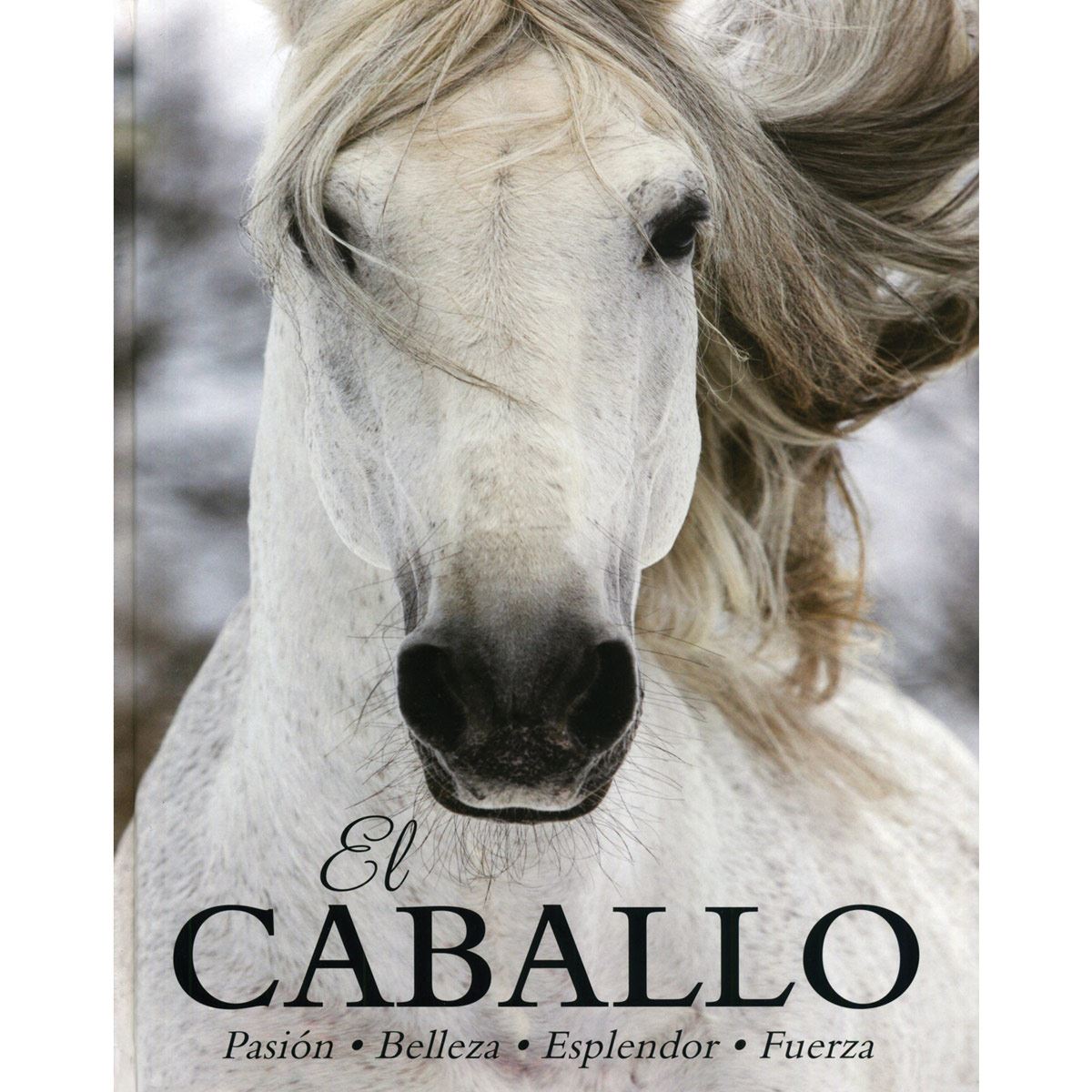 El Caballo – Walker