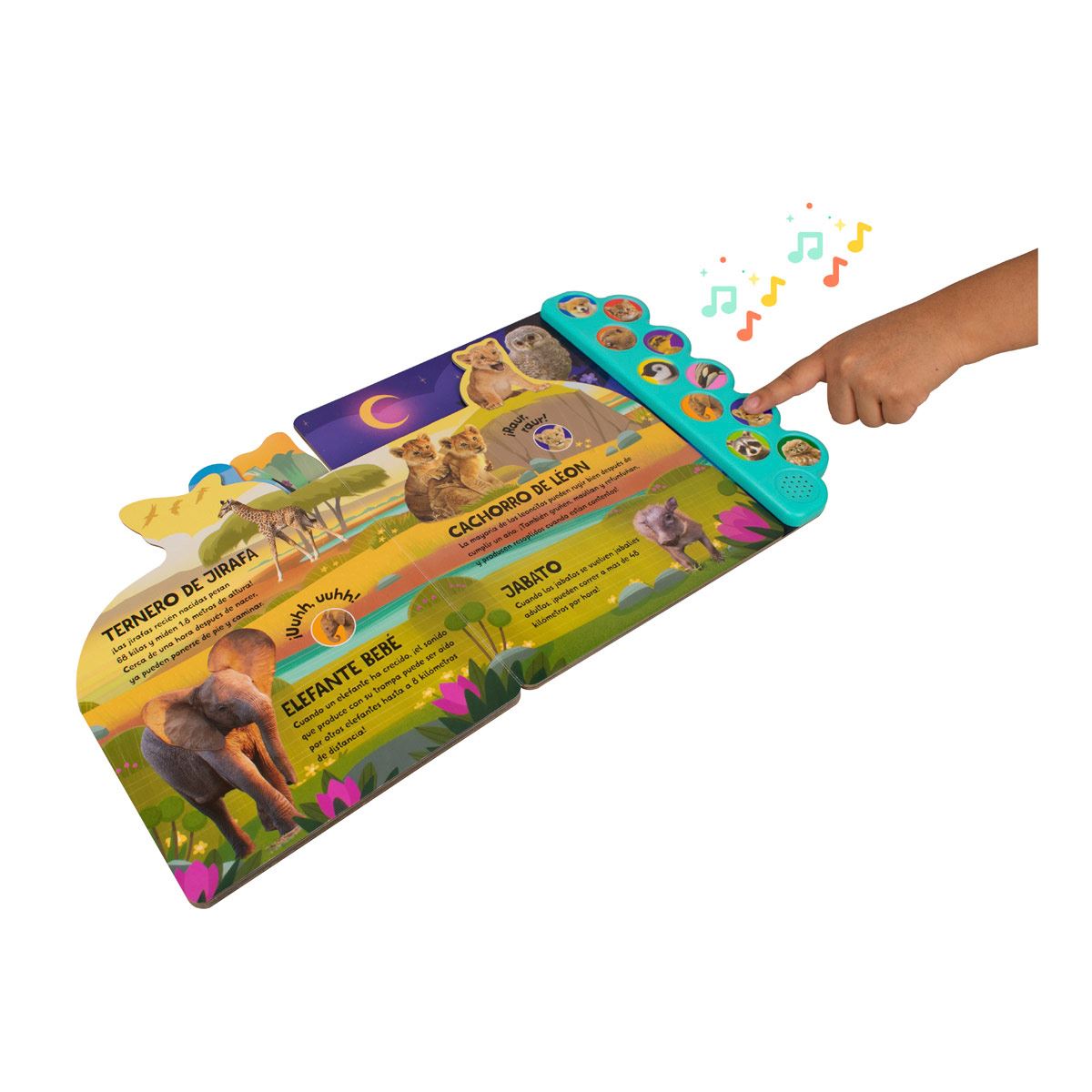 Asombrosos y Adorables Animales Bebes