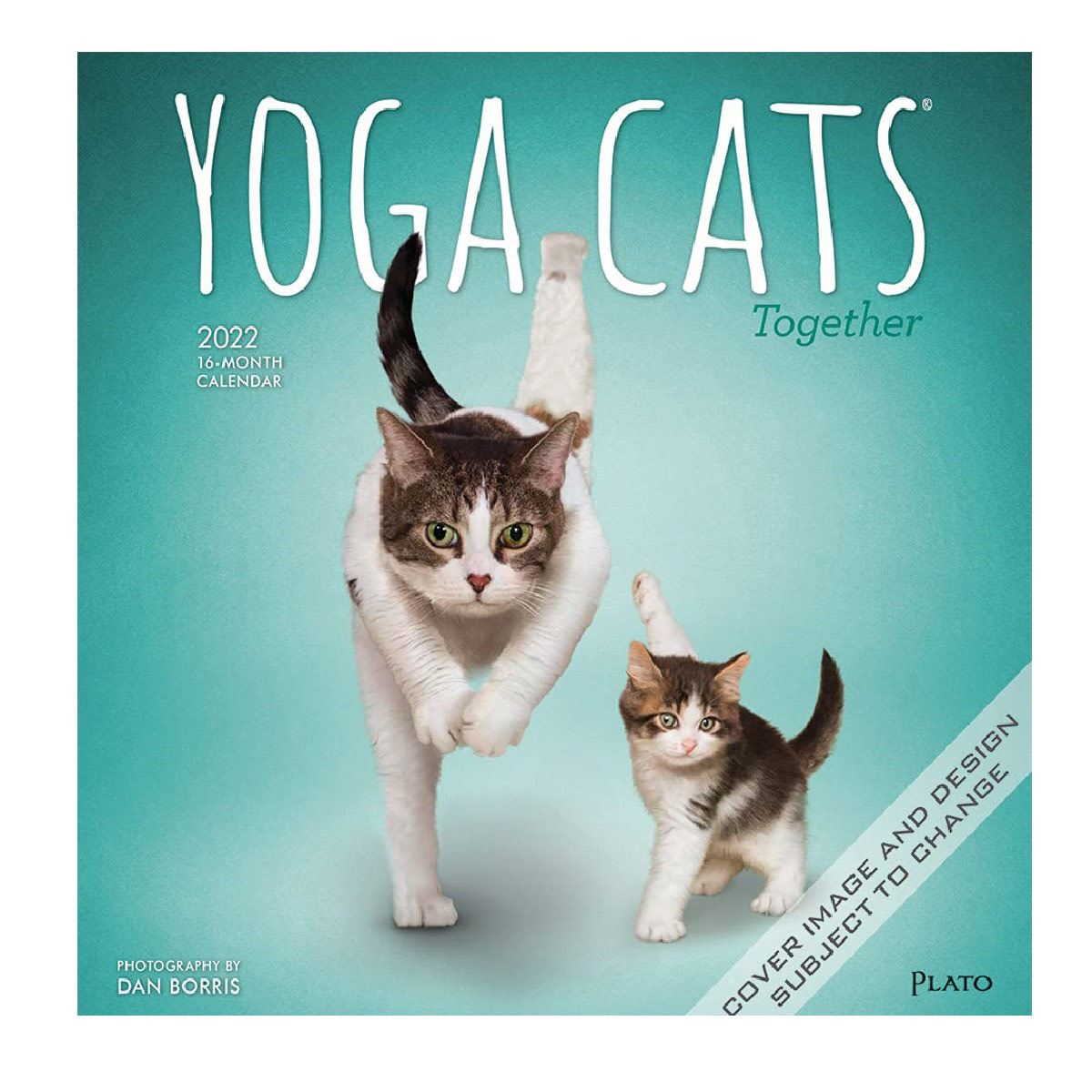 Calendario 2022 Yoga Cats Square