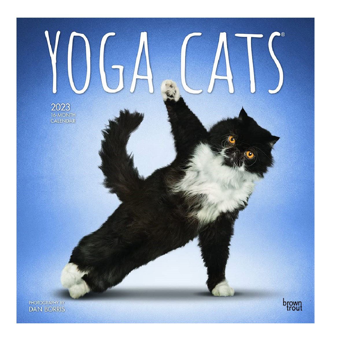 2023 Yoga Cats Square Calendario