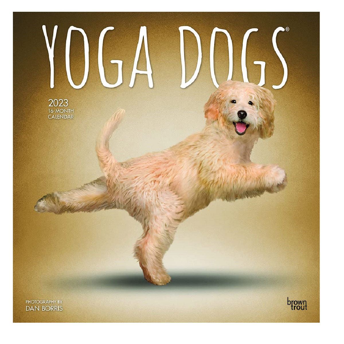 2023 Yoga Dogs Square Calendario