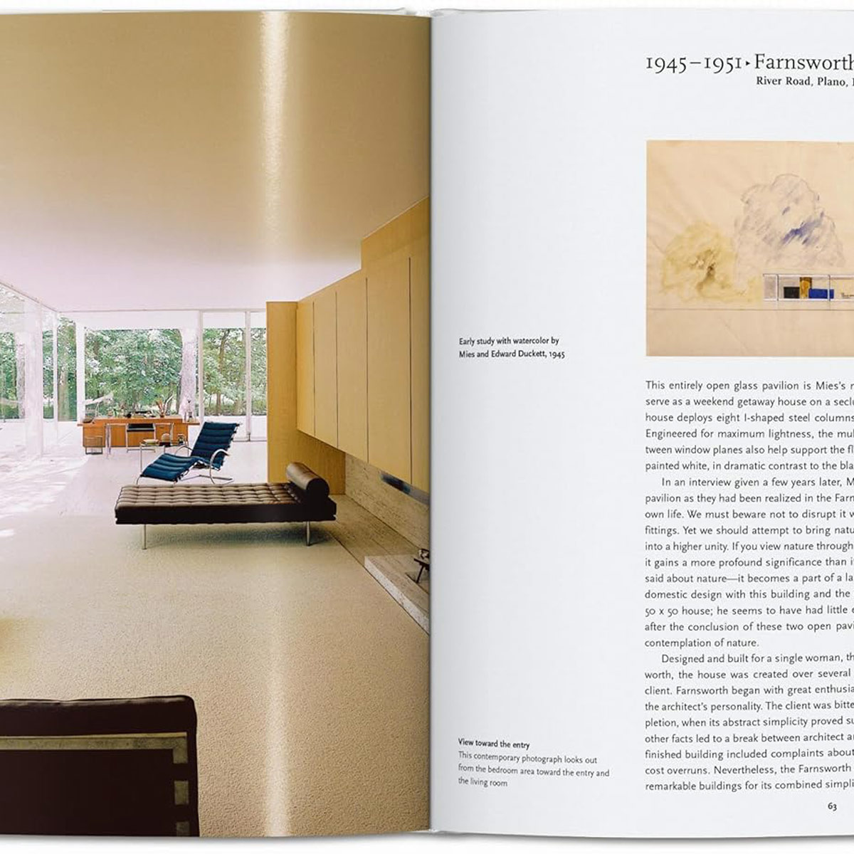 Mies Van Der Rohe Arch