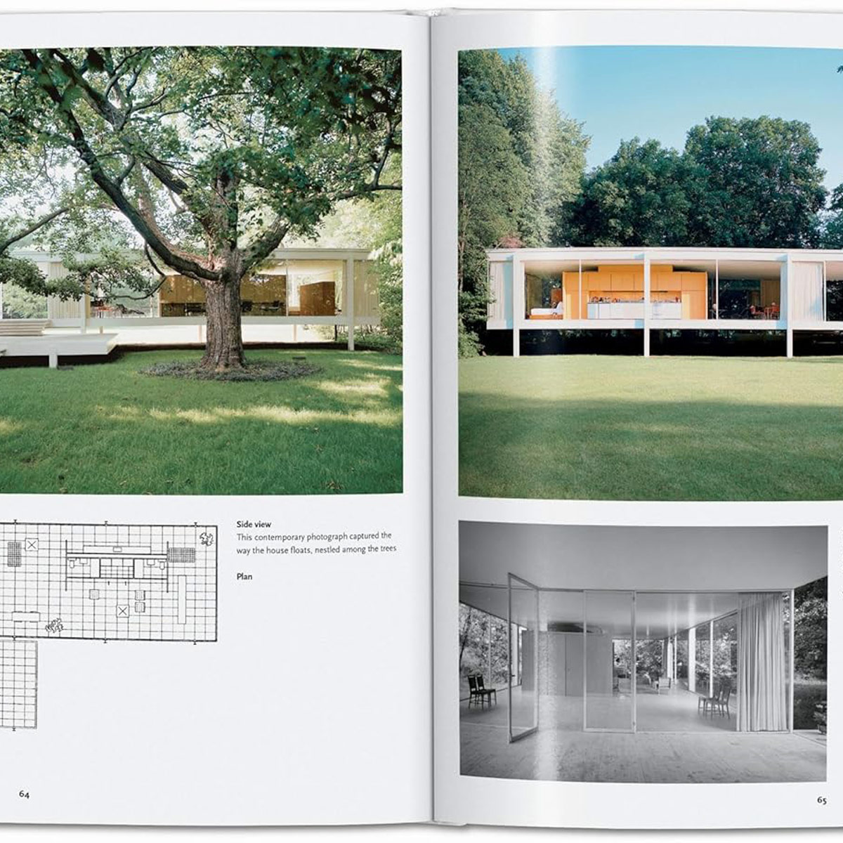 Mies Van Der Rohe Arch