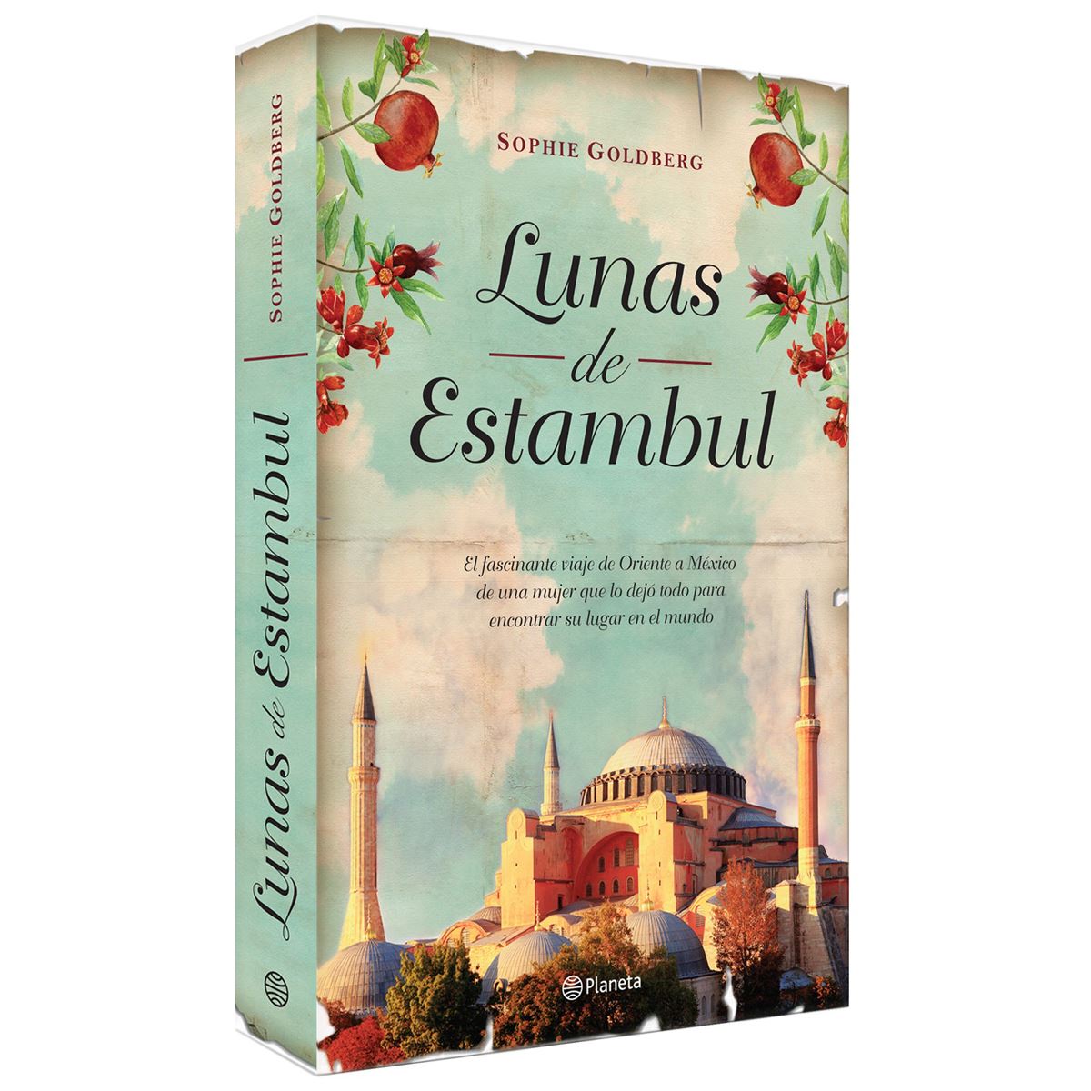 Lunas de Estambul