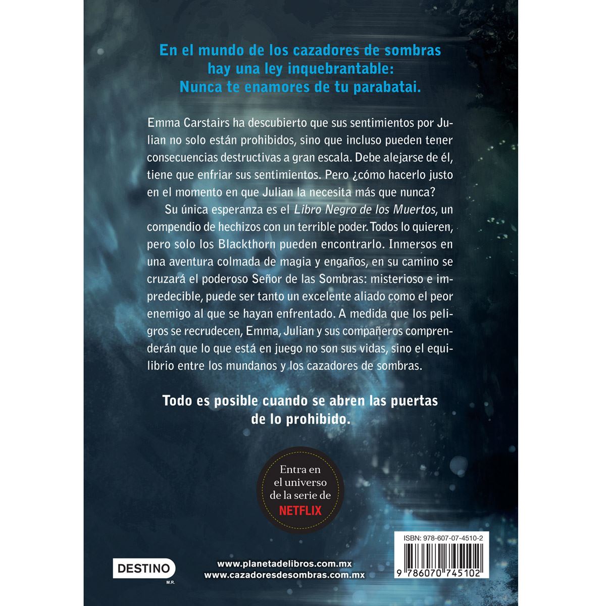 El señor de las Sombras