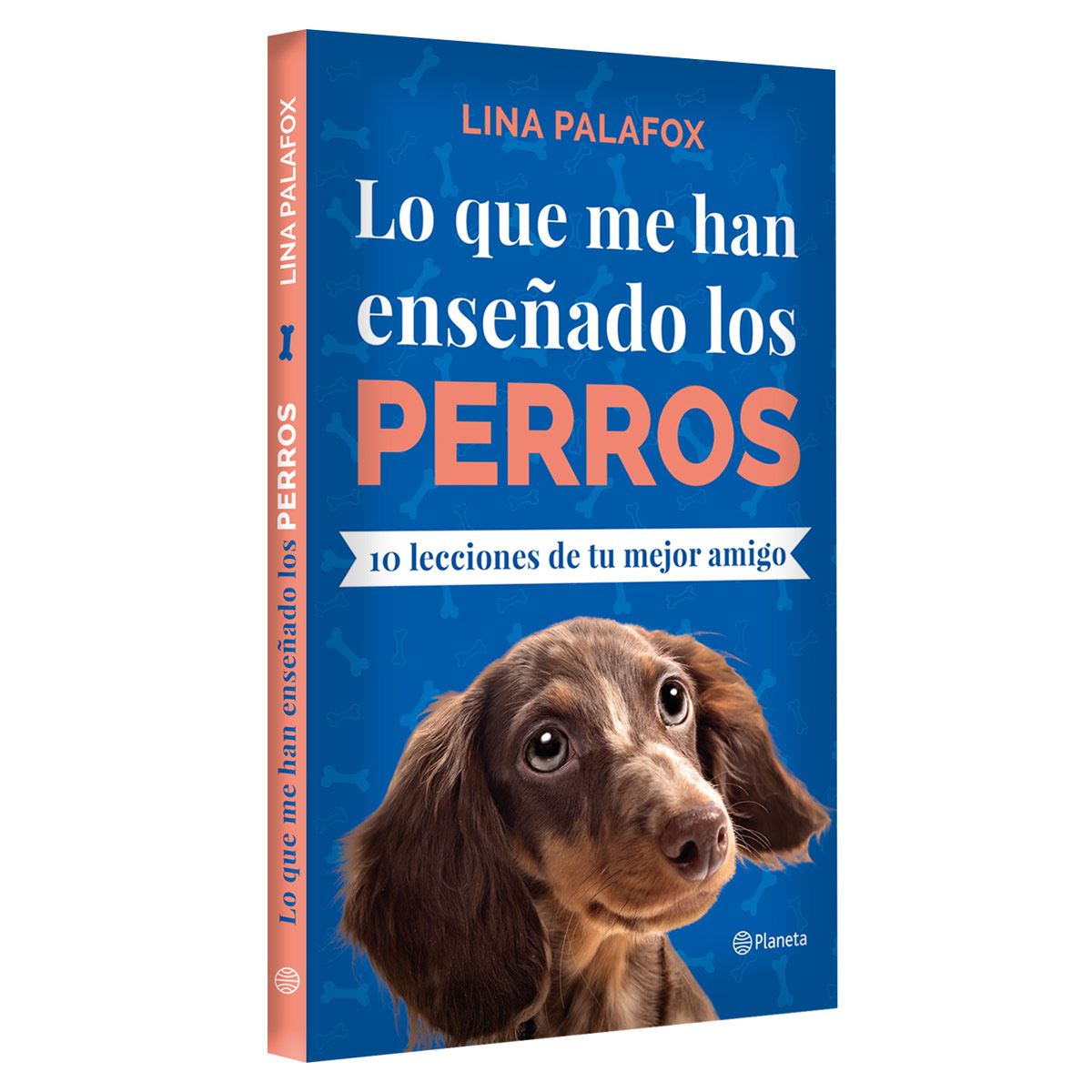 Lo que me han enseñado los perros