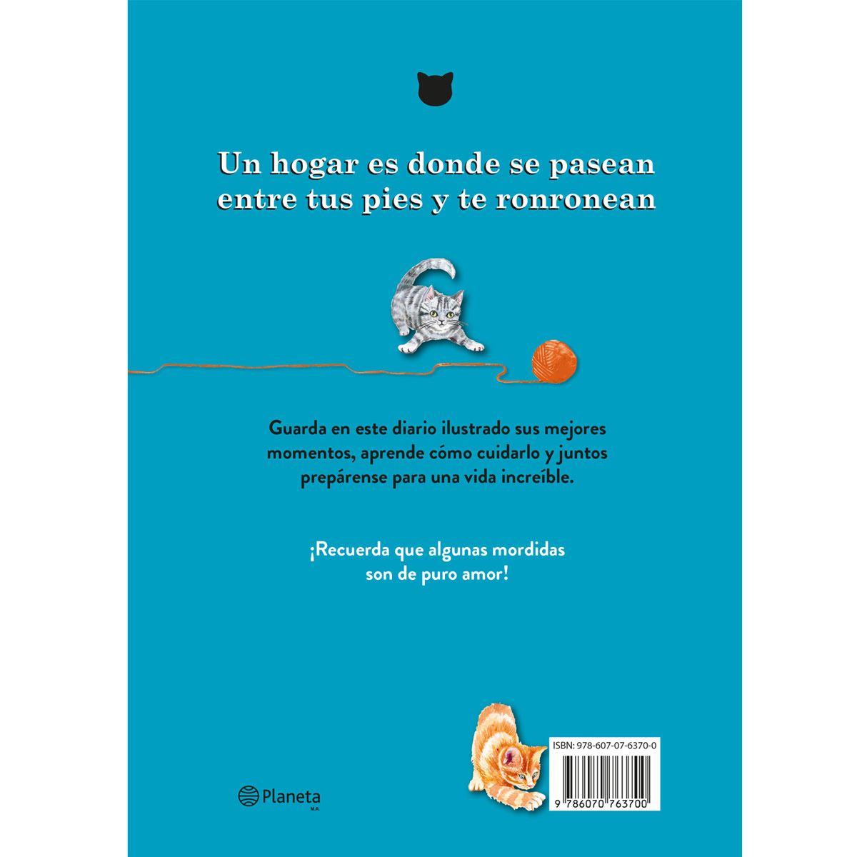 Primer año con mi gathijo. Diario