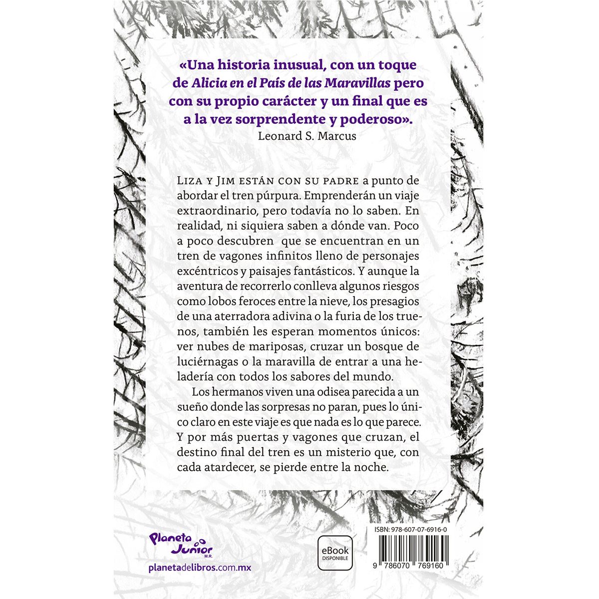¿A dónde va este tren?