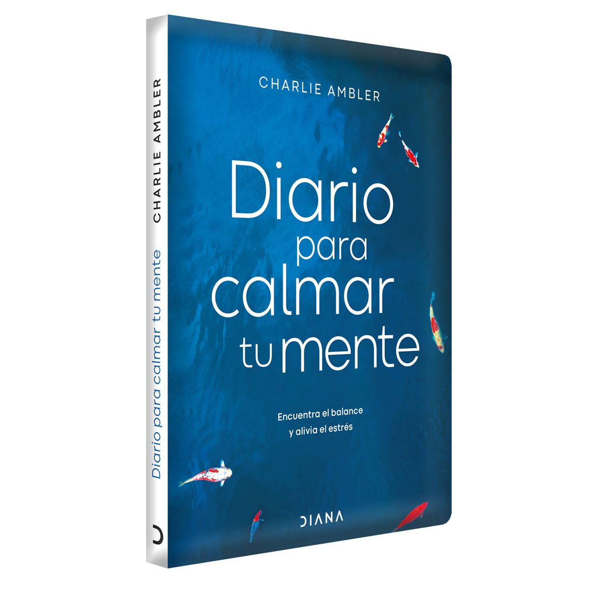 Diario para calmar tu mente