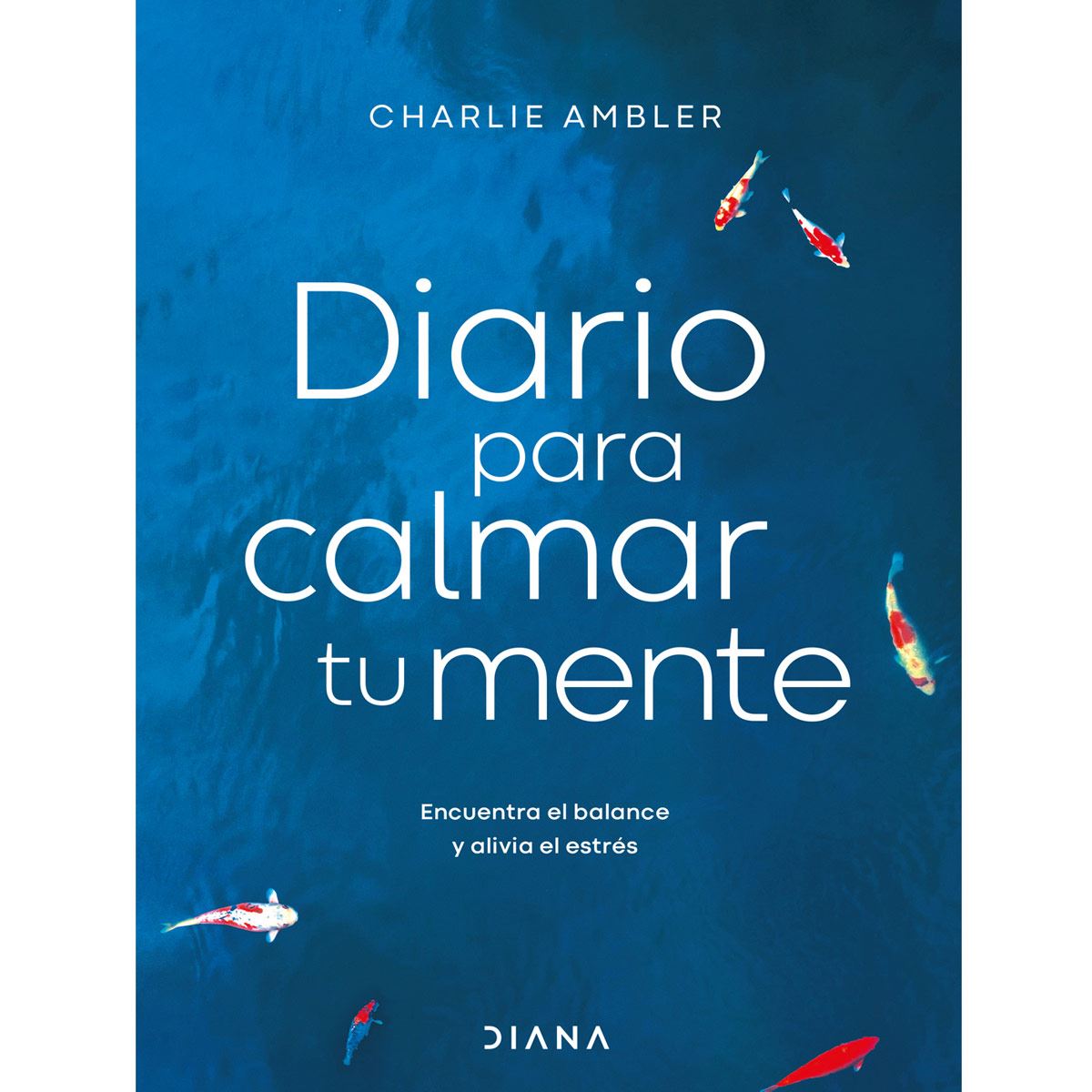 Diario para calmar tu mente