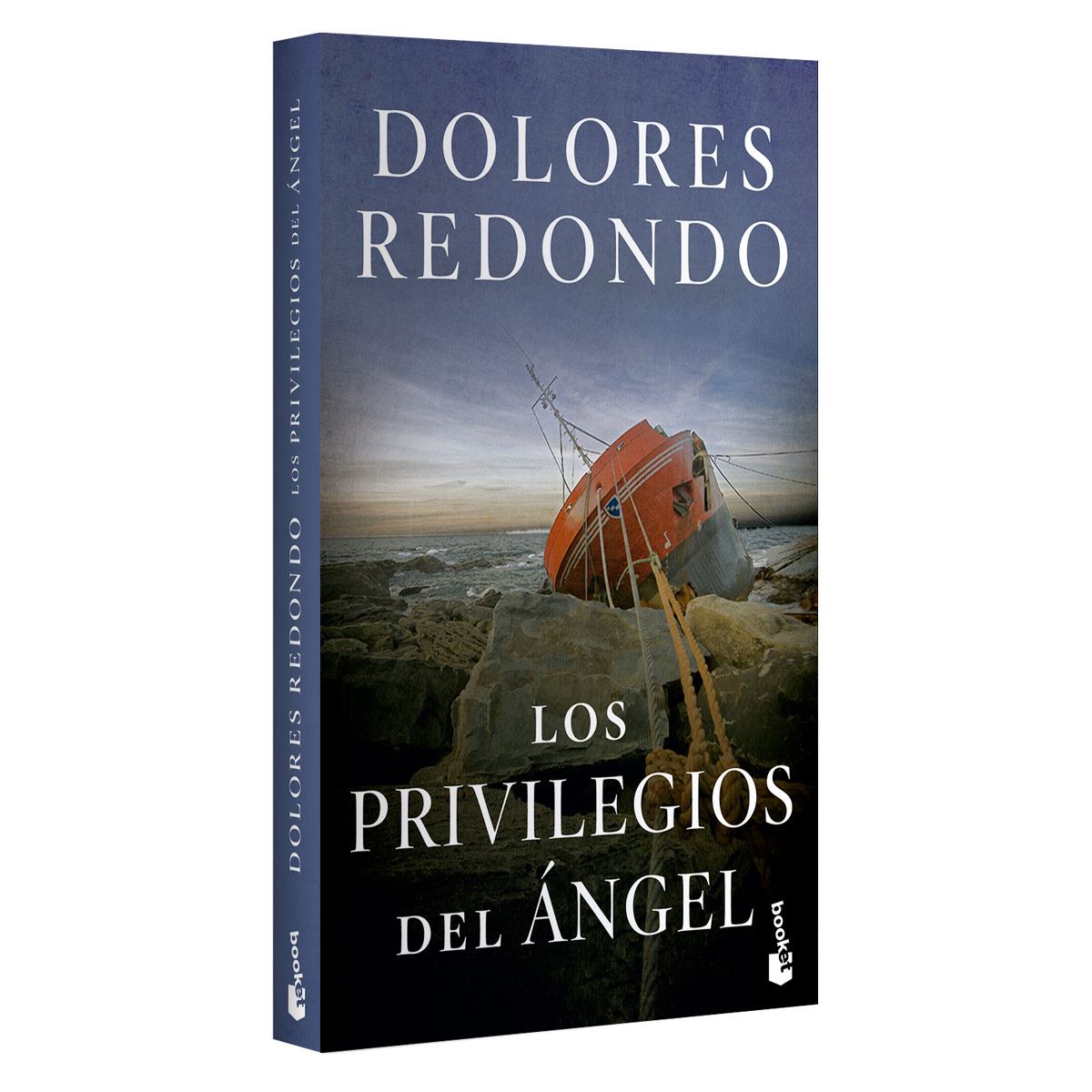 Los privilegios del angel, libro en